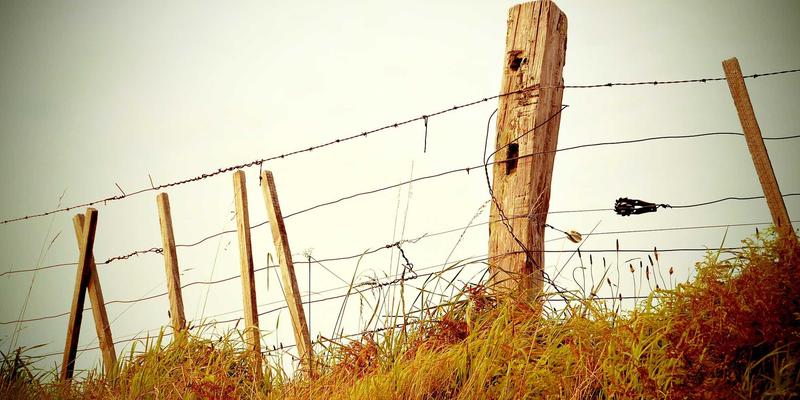 谈球吧与英超联赛达成战略合作签约仪式现场